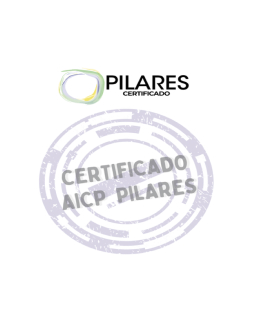 Certificado de reconocimiento por Fundación Pilares